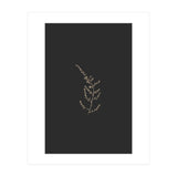 Delicate Golden Fynbos Botanicals on Black (Print Only) thumbnail