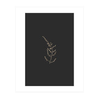 Delicate Golden Fynbos Botanicals on Black (Print Only)