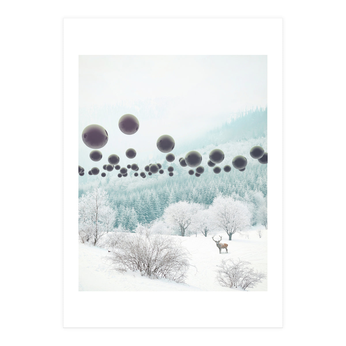 Forest Phantom (Print Only)