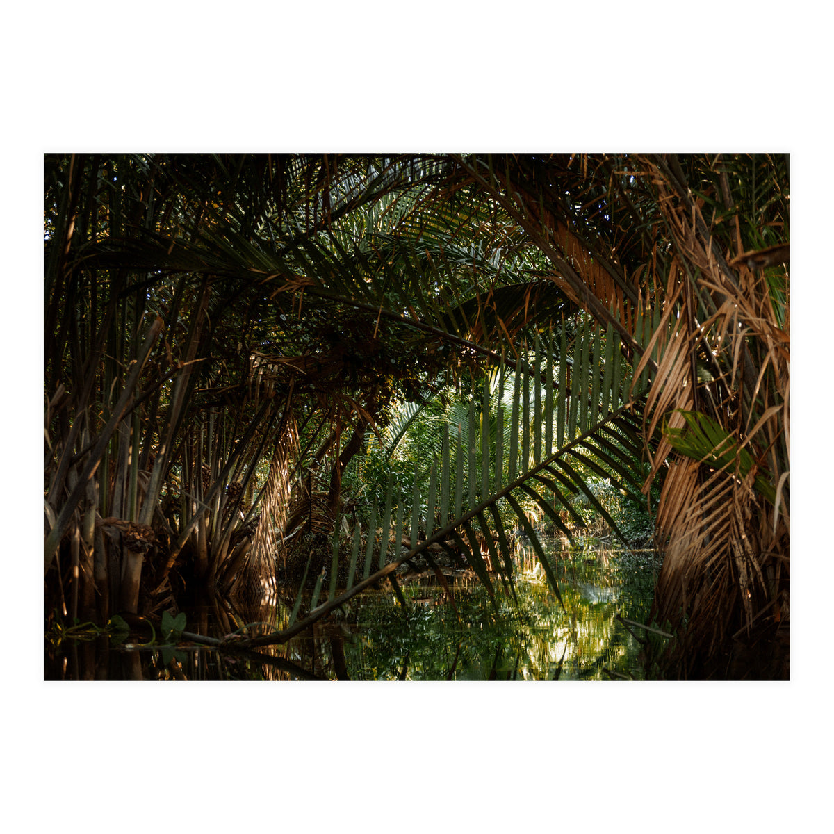 Exploring Vietnam (Print Only)