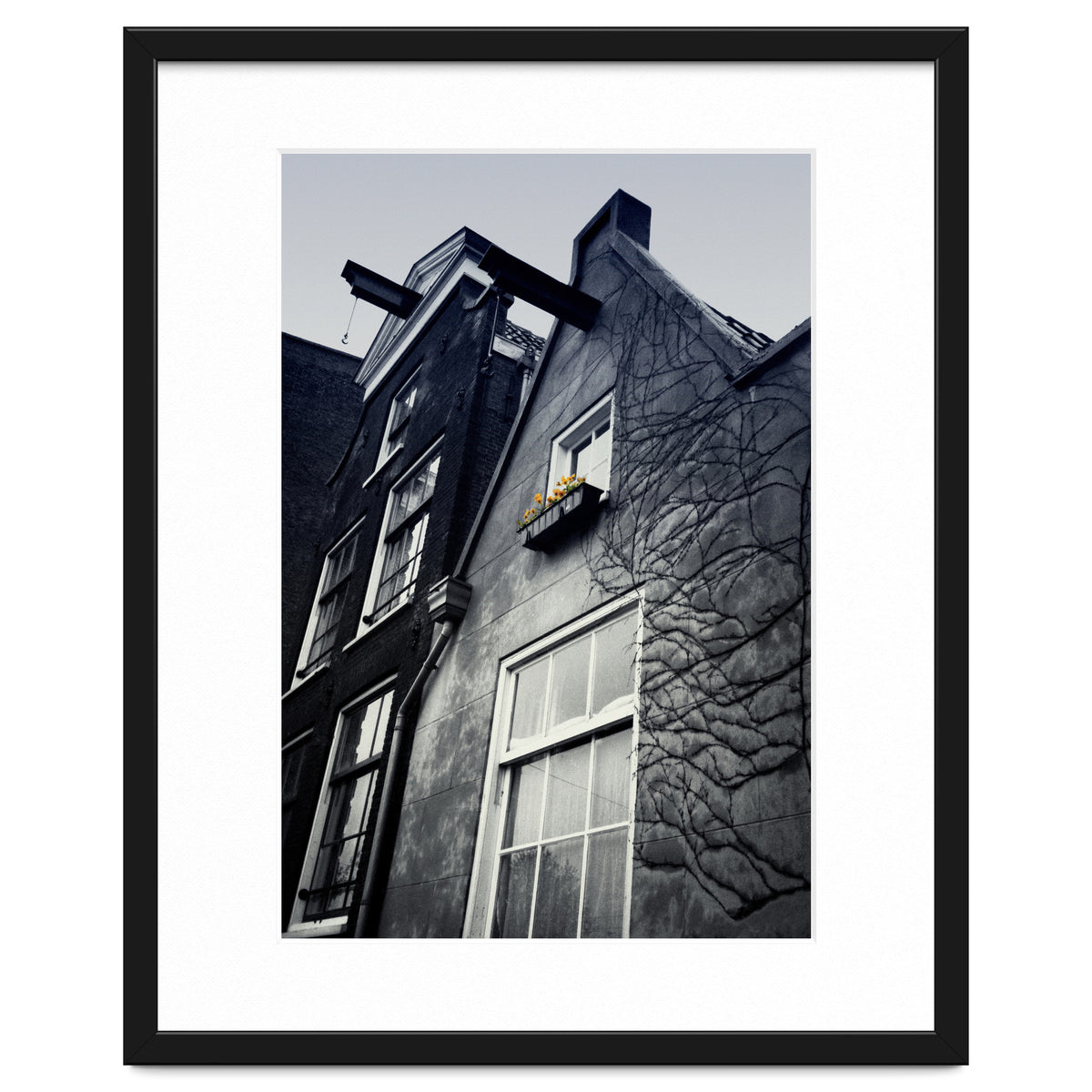 Amsterdam. House With Yellow Flowers.