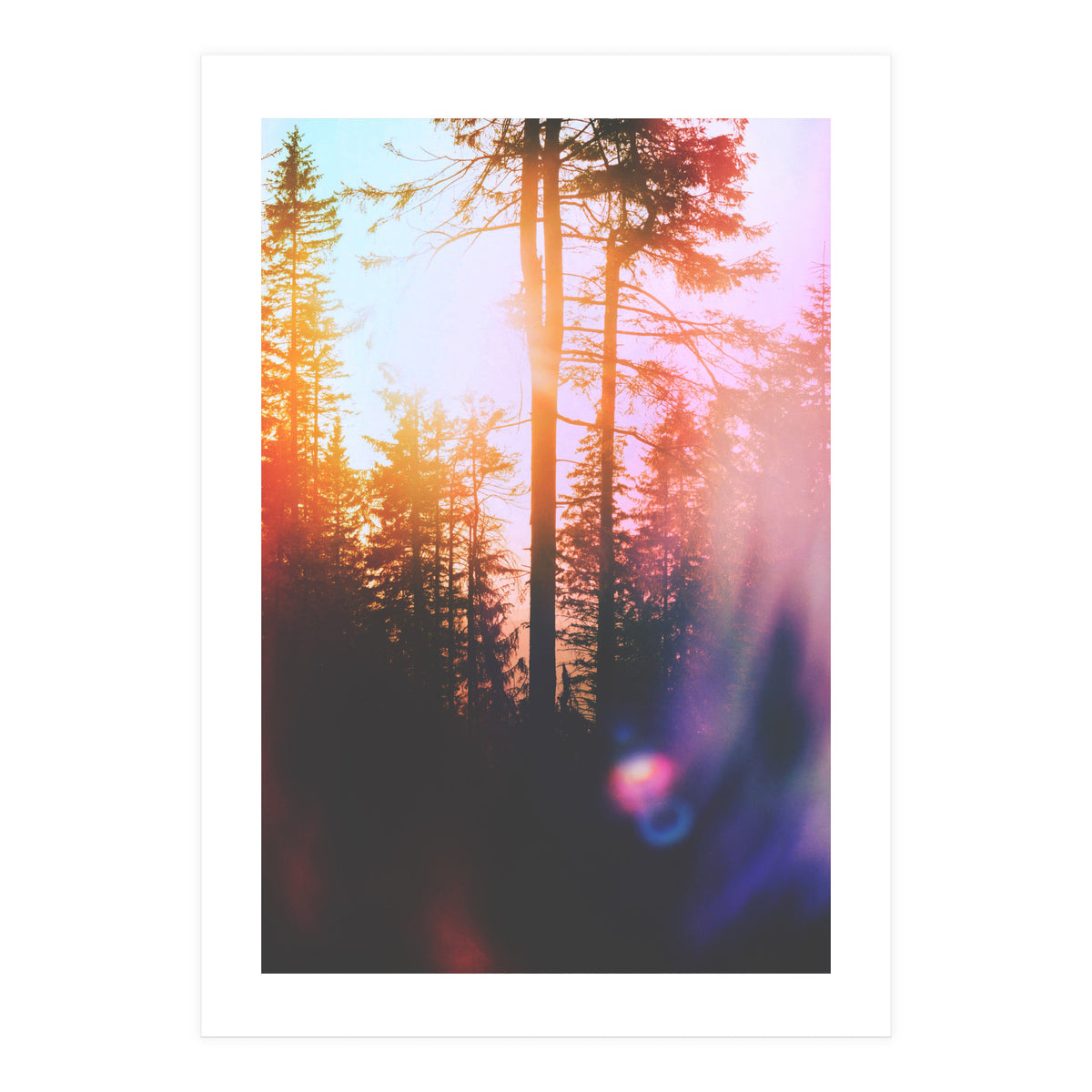 Finding Light (Print Only)