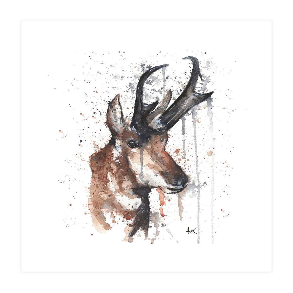 Red deer - Wildlife Collection (Print Only)