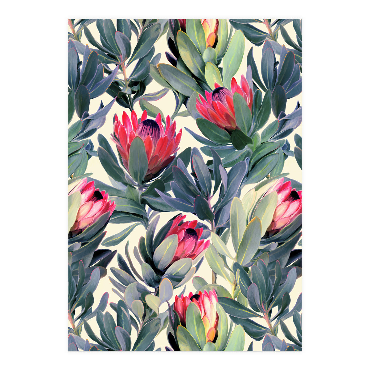 Painted Protea Pattern (Print Only)