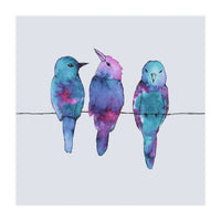 Three birds on a wire	 (Print Only)