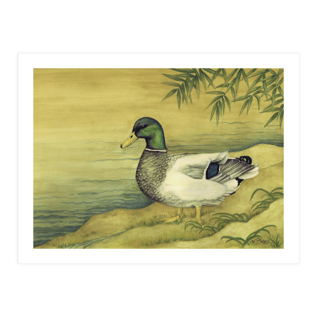 Mallard (Print Only)