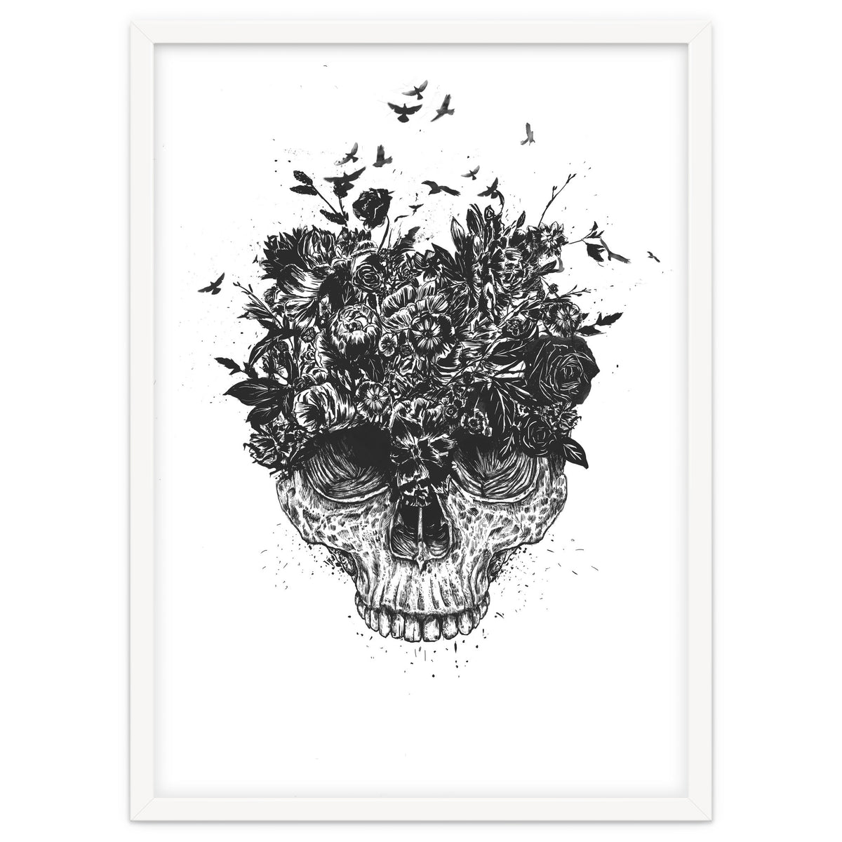 My Head Is A Jungle Bw