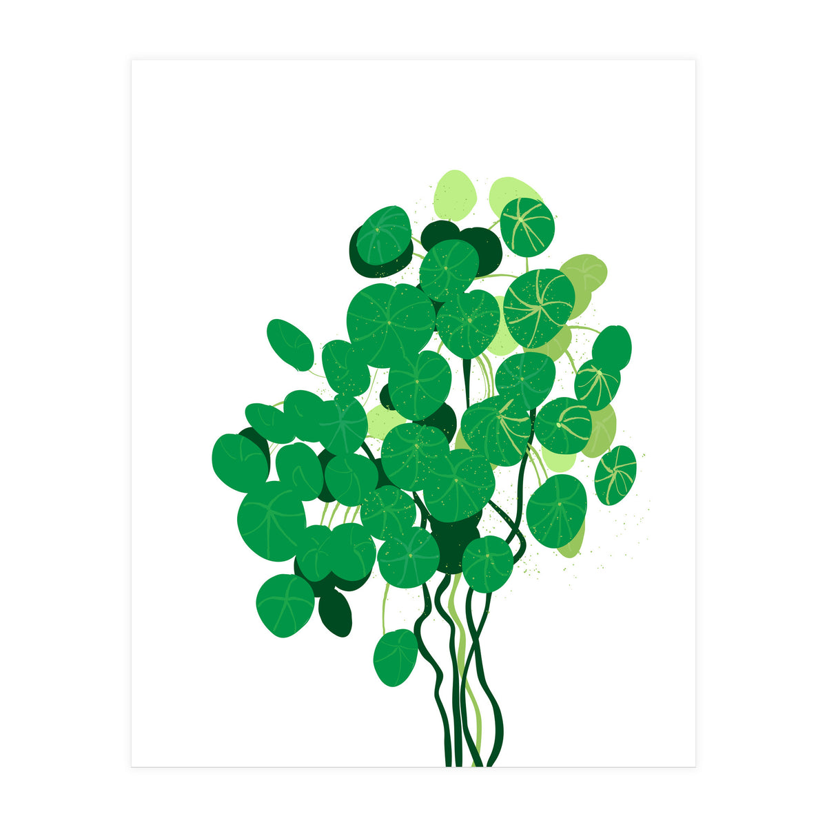 Pilea (Print Only)