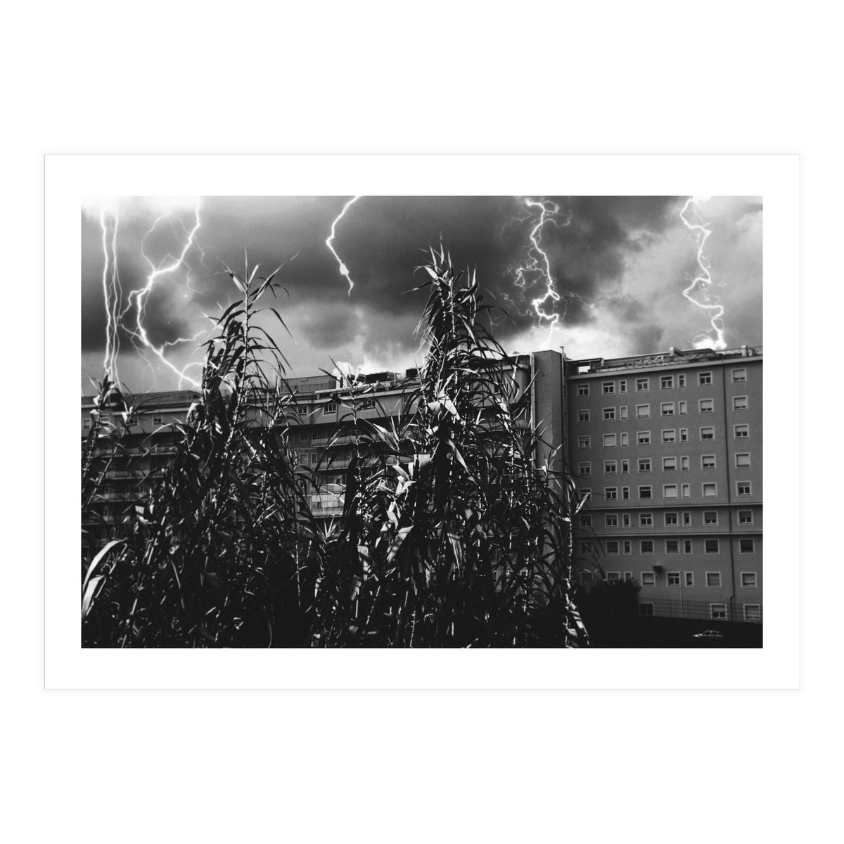 Thunderstorm in Tivoli (Print Only)