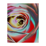 Rose (Print Only) thumbnail