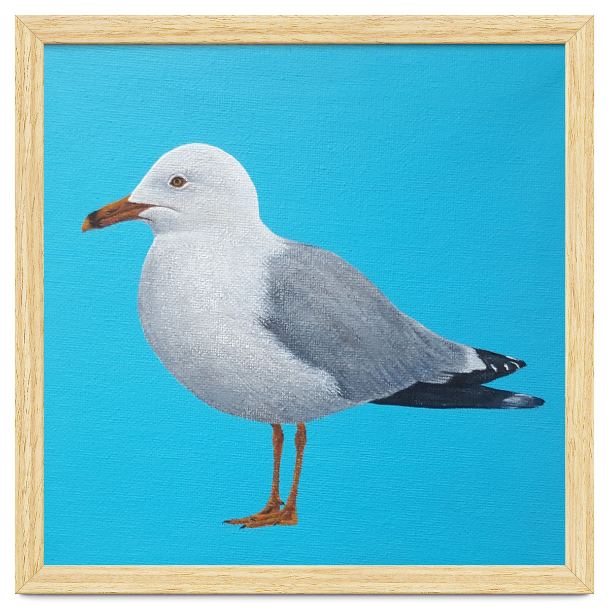 Seagull