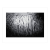 hair (Print Only) thumbnail