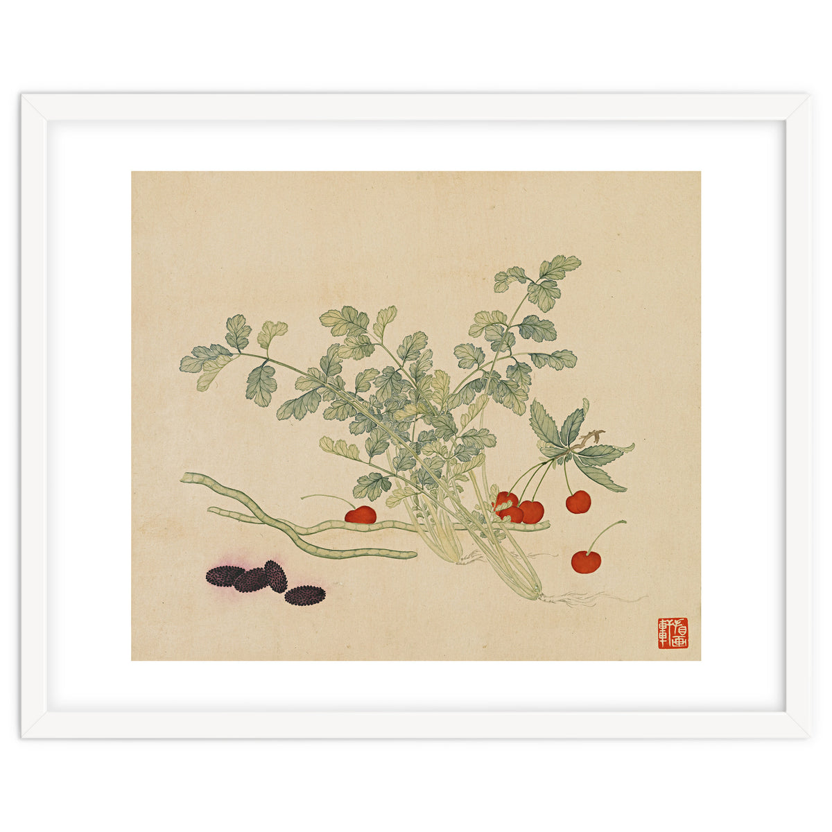 Wang Chengyu~flowers And Vegetables, Vegetables, Fruits, Beans, Red Beans, Cherries, Celery