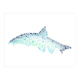 Barbel Fish (Print Only) thumbnail