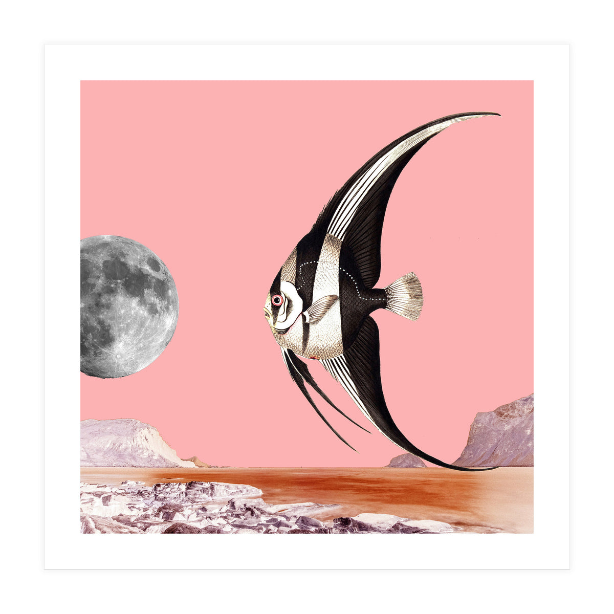 Plenty Of Fish In The Sea Pink (Print Only)