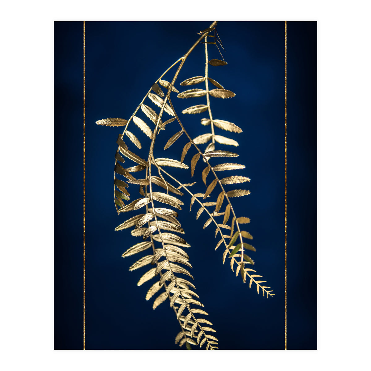 Golden Pepper Tree (Print Only)