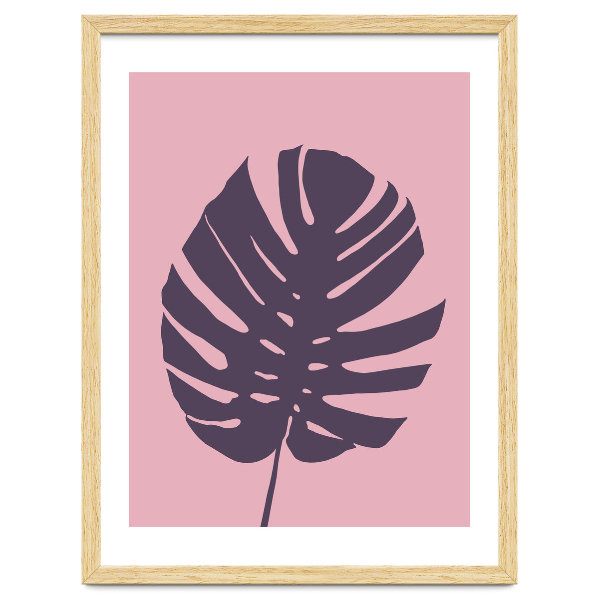 Monstera Deliciosa III