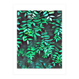 Greener (Print Only) thumbnail