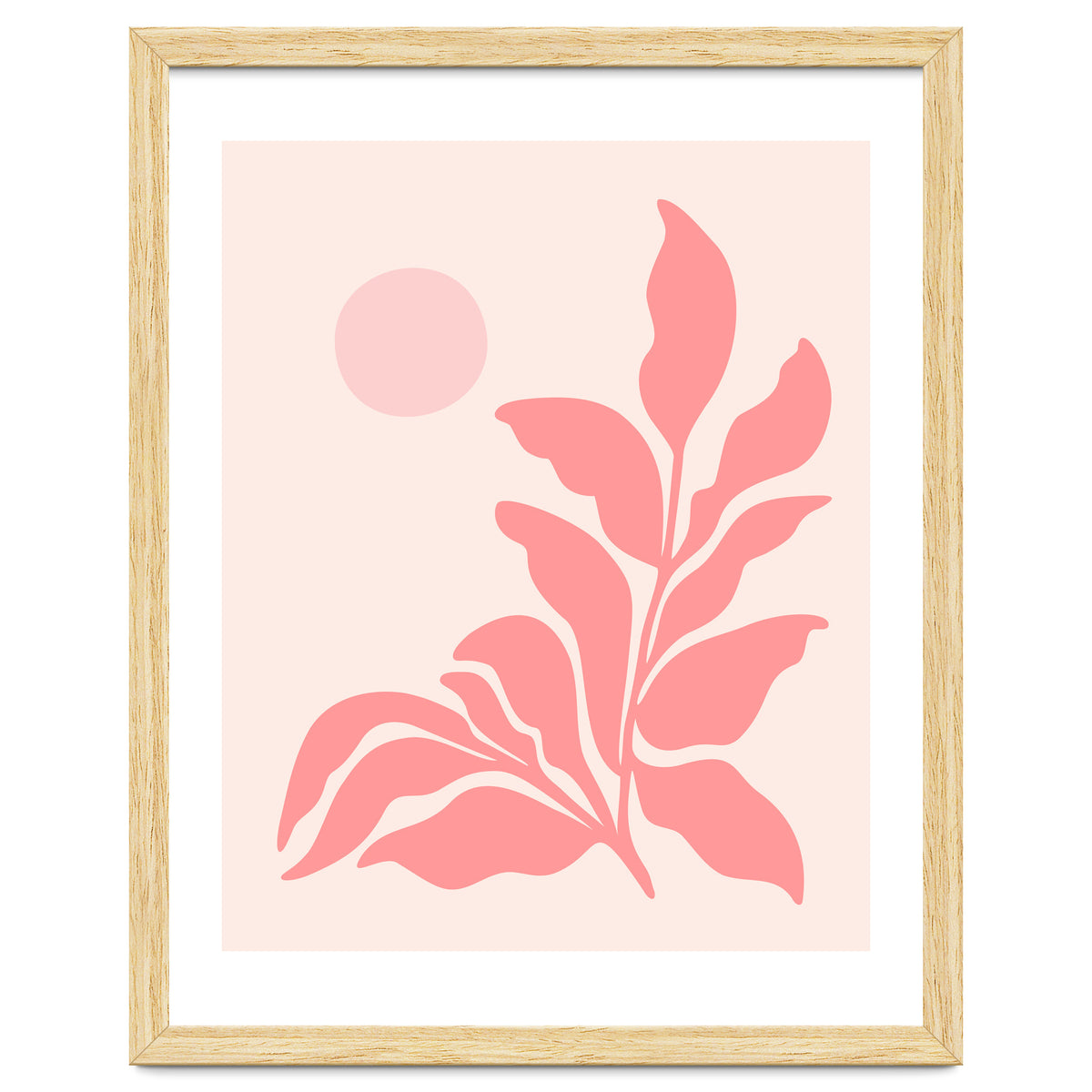 Mid Century Pink Garden