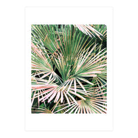 Palms II (Print Only)