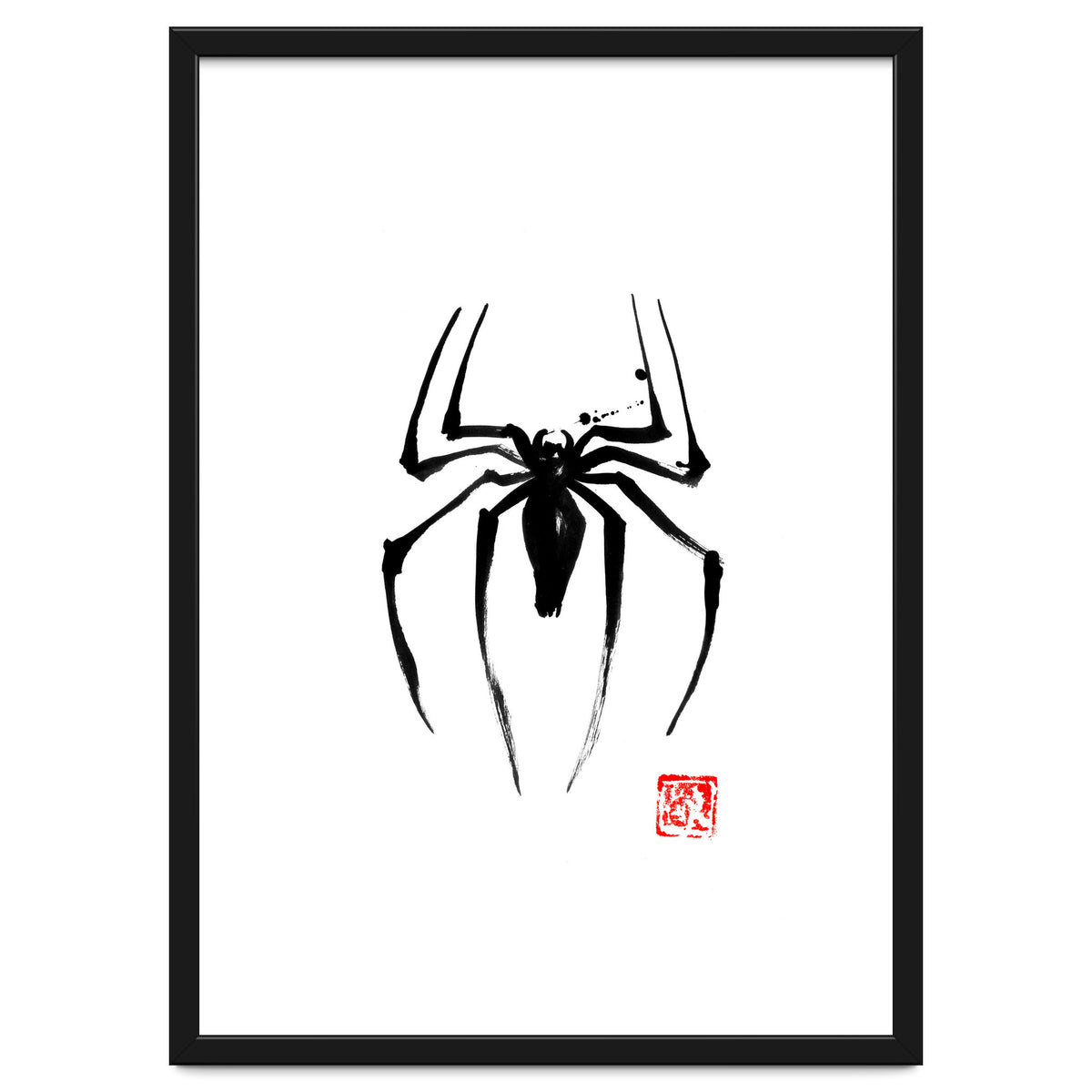 Spider