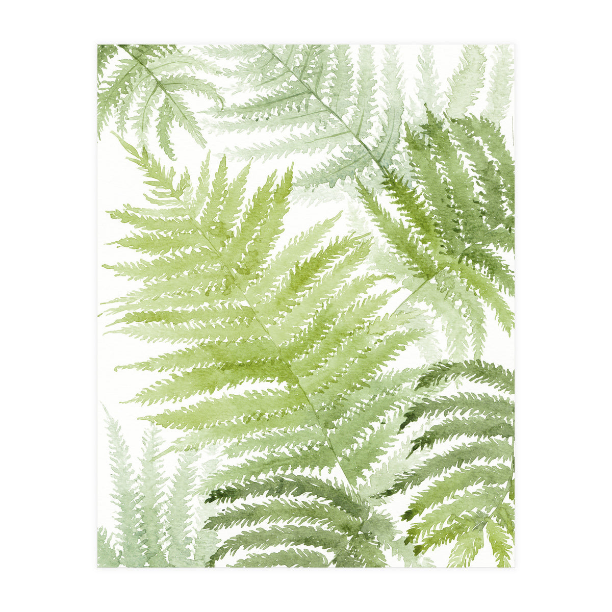 Samambaia  (Print Only)