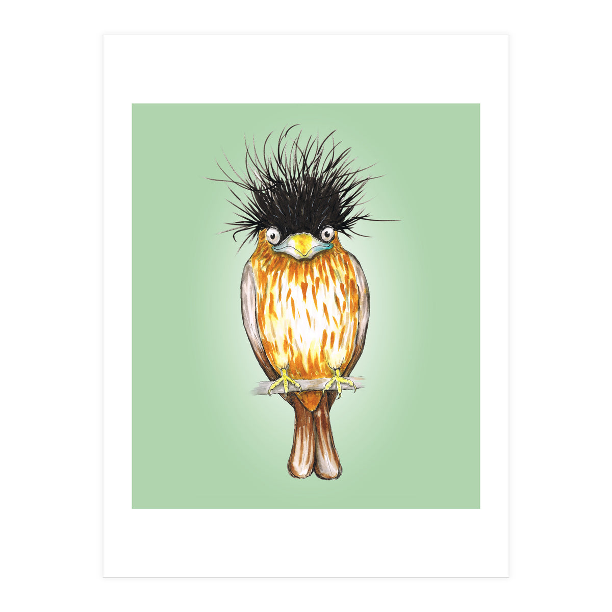 Brahminy starling (Print Only)