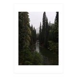 Evergreen State (Print Only) thumbnail