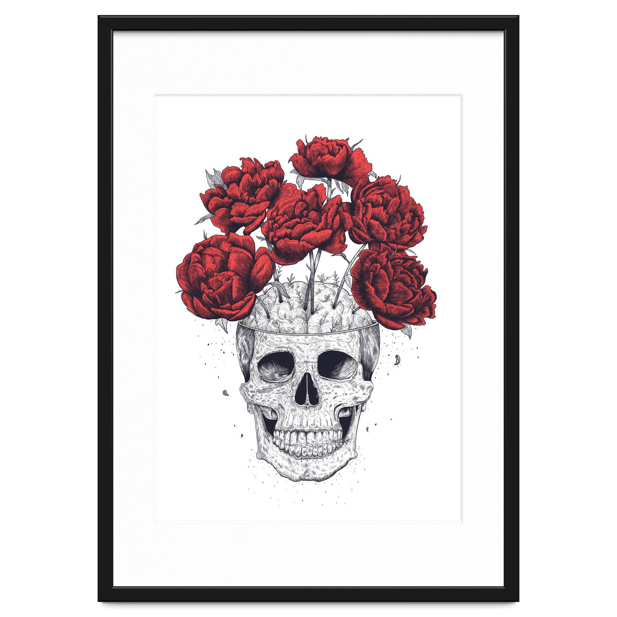 Skull With Peonies