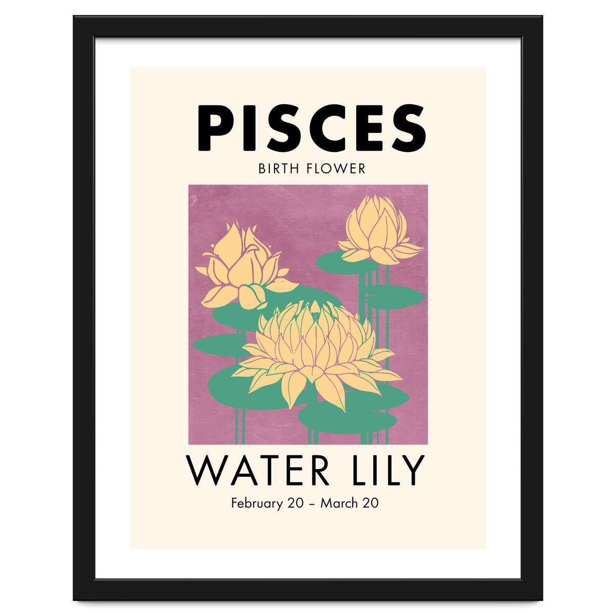 Pisces Birth Flower Water Lily