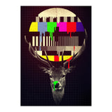 No Signal (Print Only) thumbnail