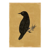 Black Bird (Print Only) thumbnail