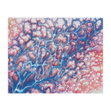 Coral Sea (Print Only) thumbnail