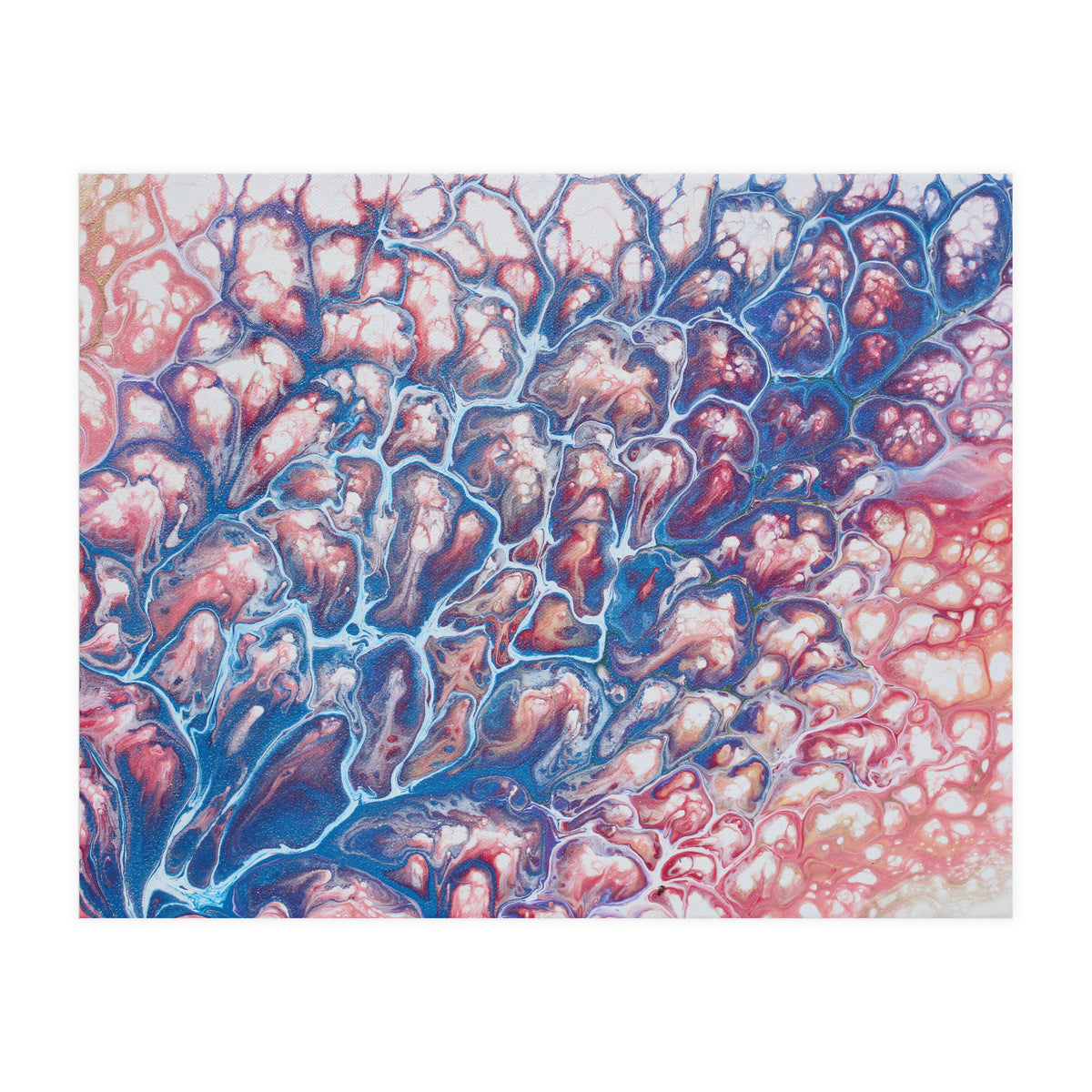 Coral Sea (Print Only)