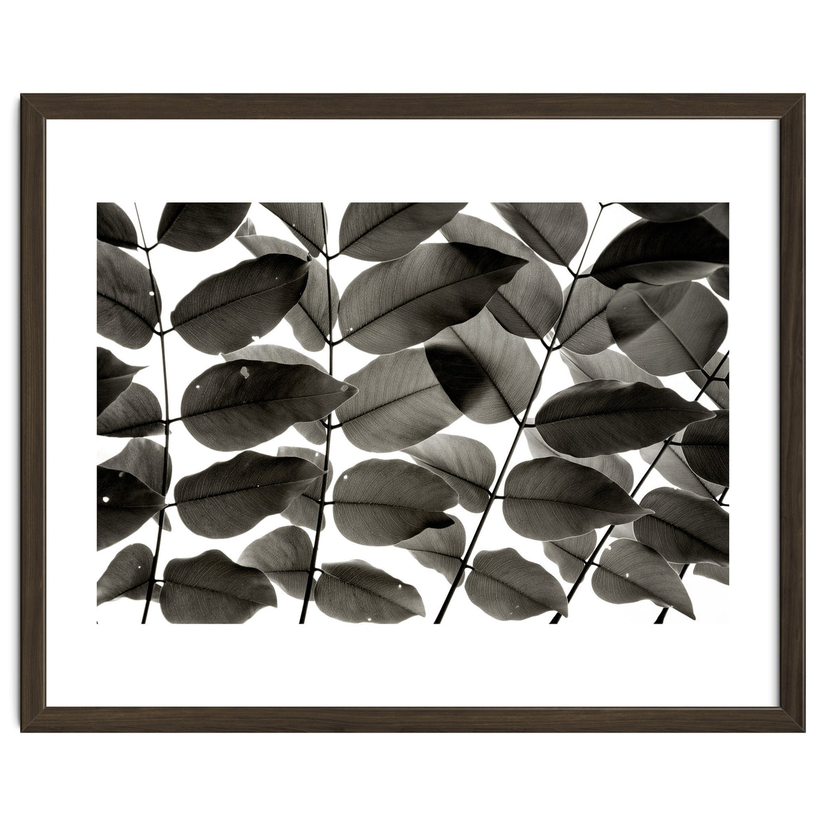 Branches and Leaves I