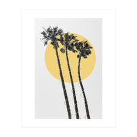 Palm Trees in the sun  (Print Only)