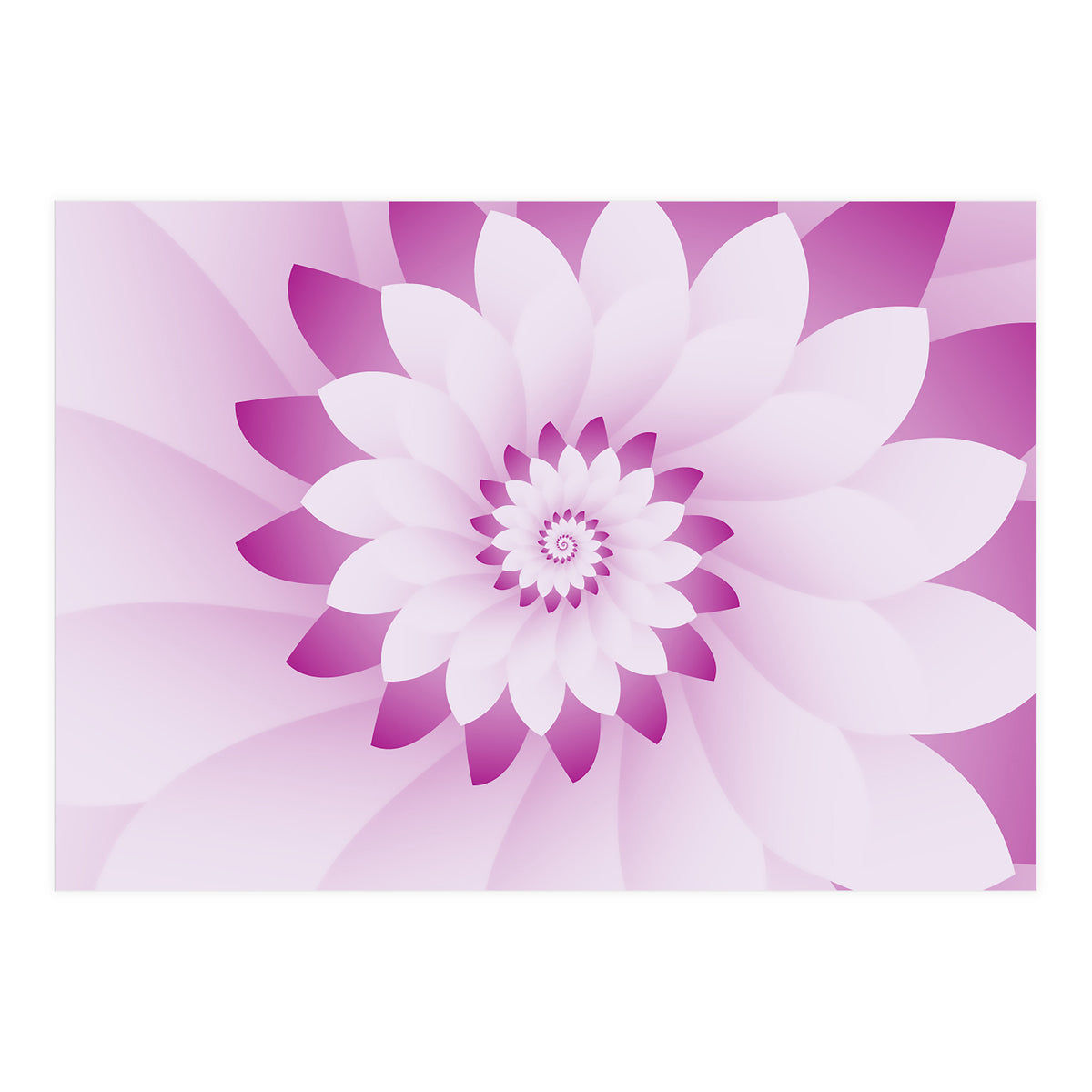 Abstract Pink & White Floral Design  (Print Only)
