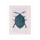 Beetle 2 (Print Only) thumbnail