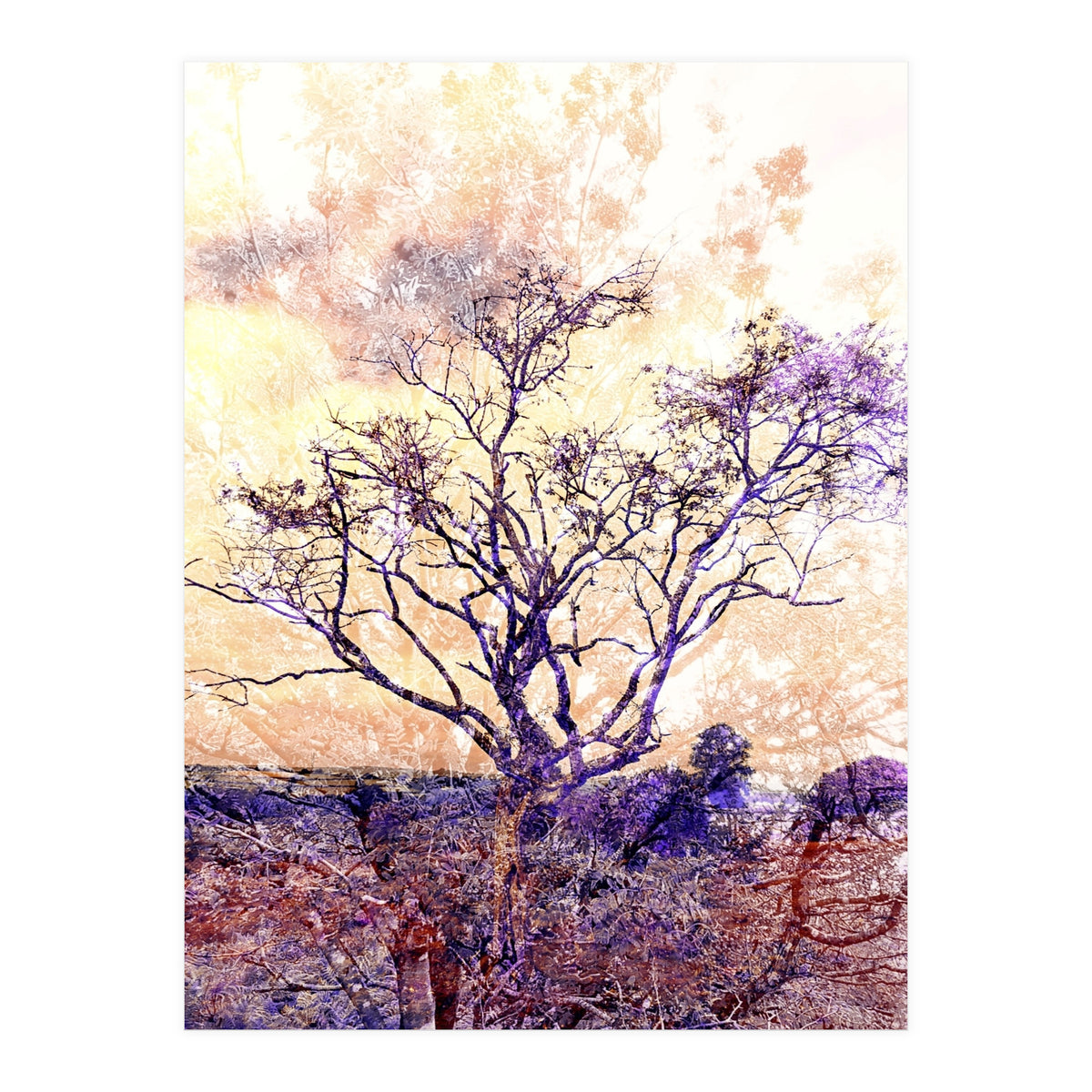 Lonely Tree II (Print Only)