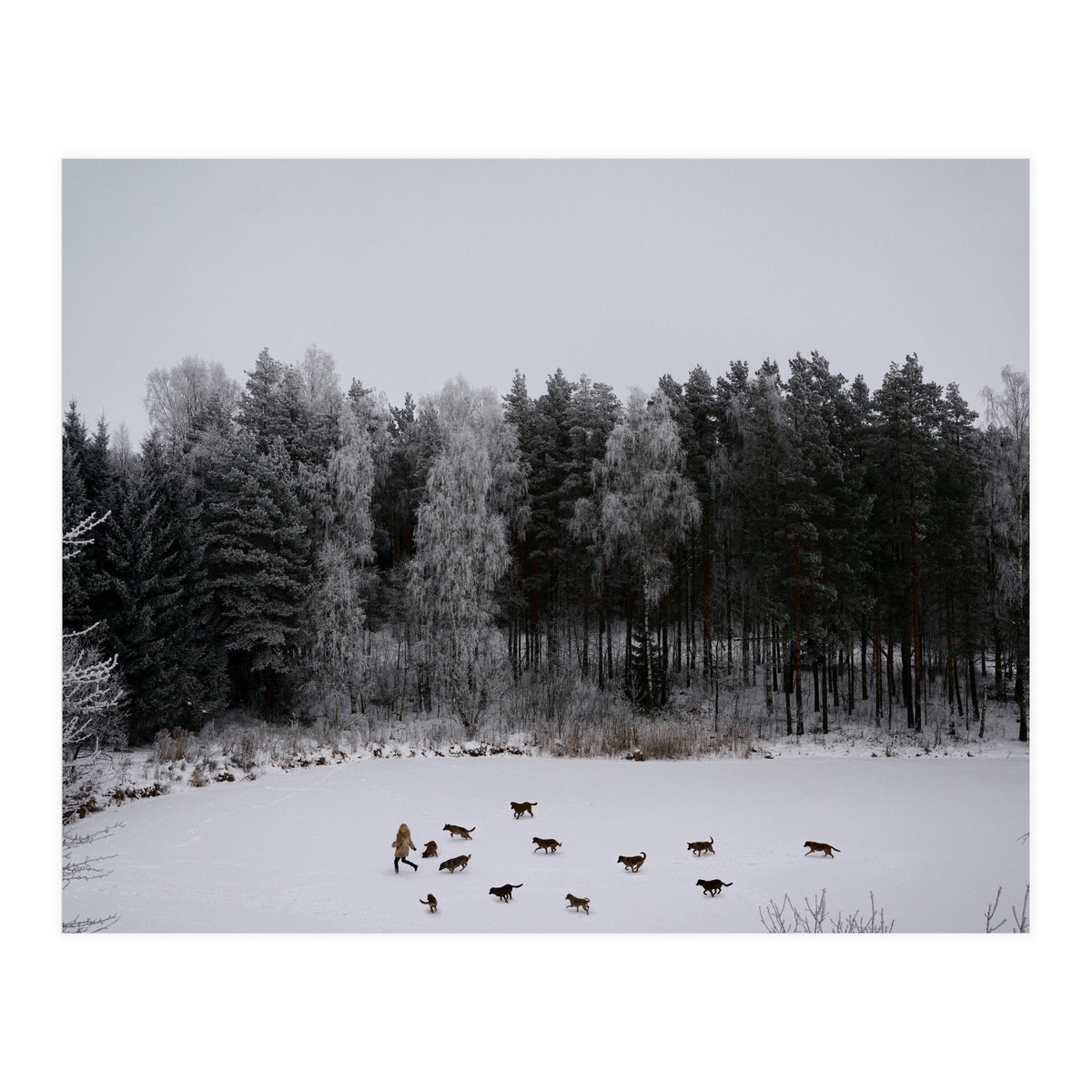 Wild Tales (Print Only)