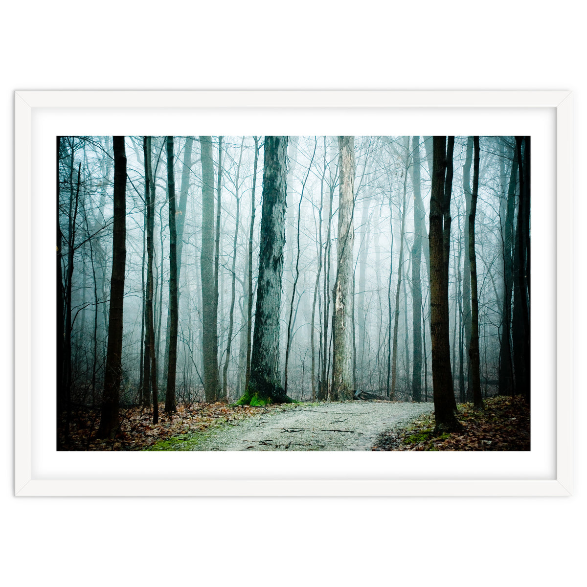 Gather Up Your Dreams