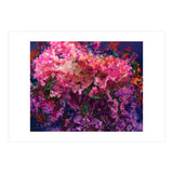 Petals (Print Only) thumbnail