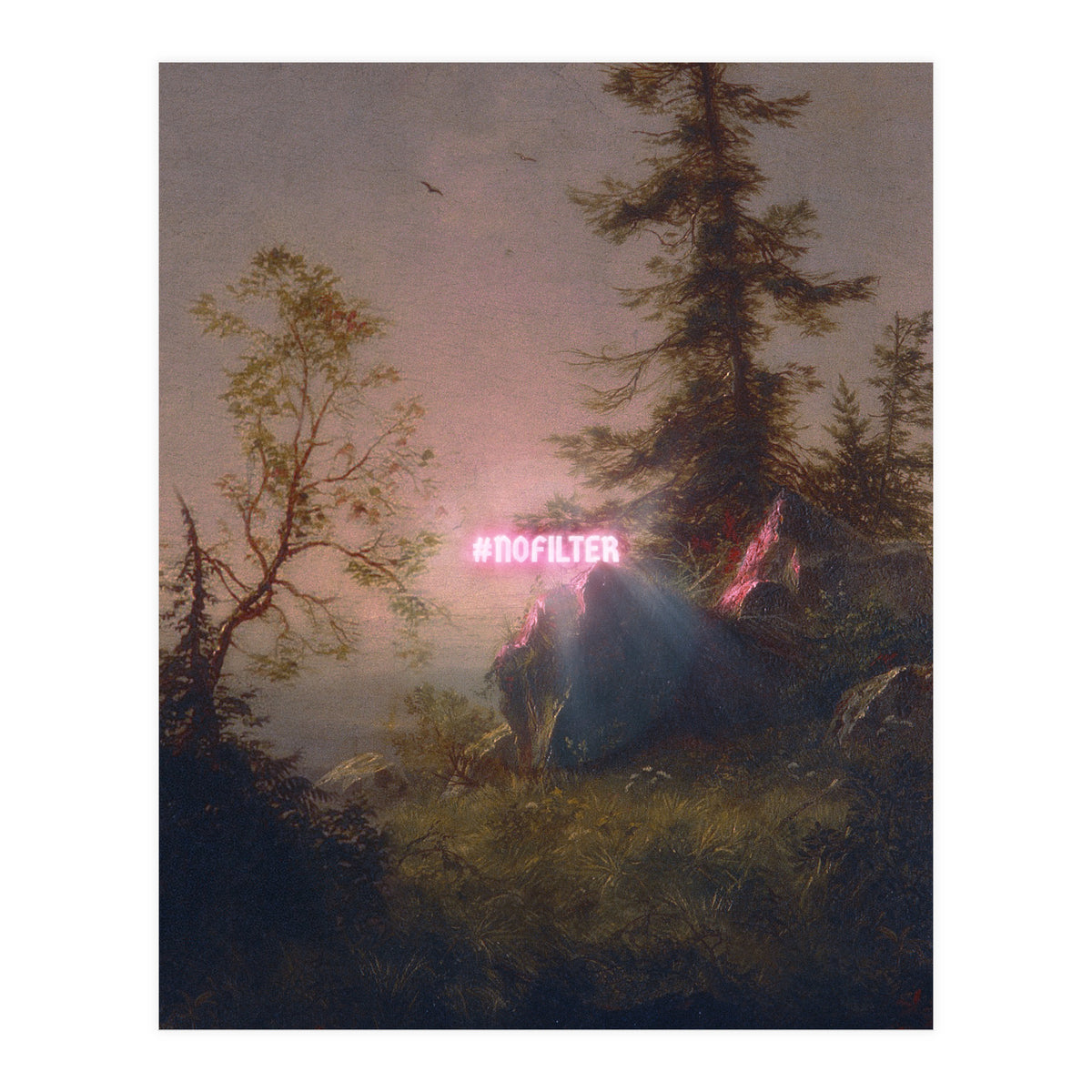 No Filter (Print Only)