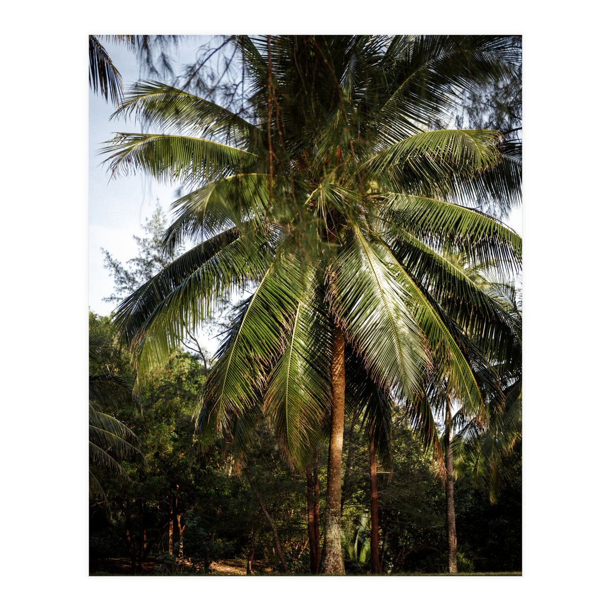 Vacation Postcard (Print Only)