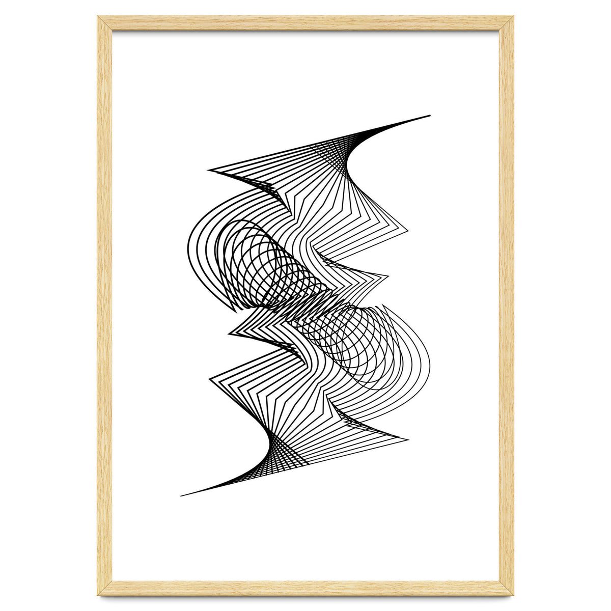 Organized Chaos_White