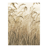 Grass (Print Only) thumbnail