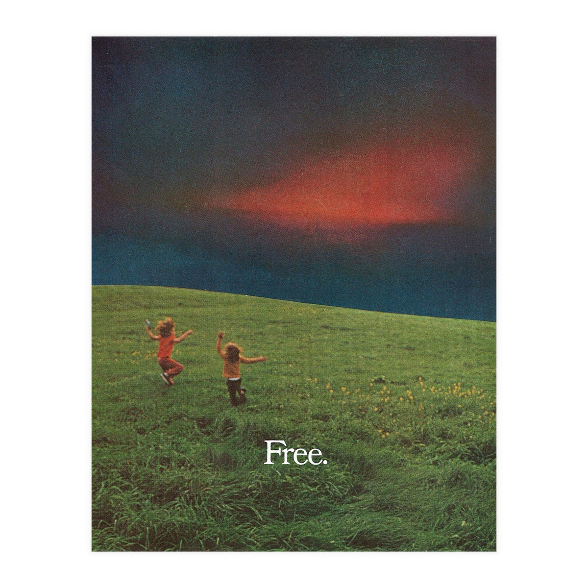 Free (Print Only)