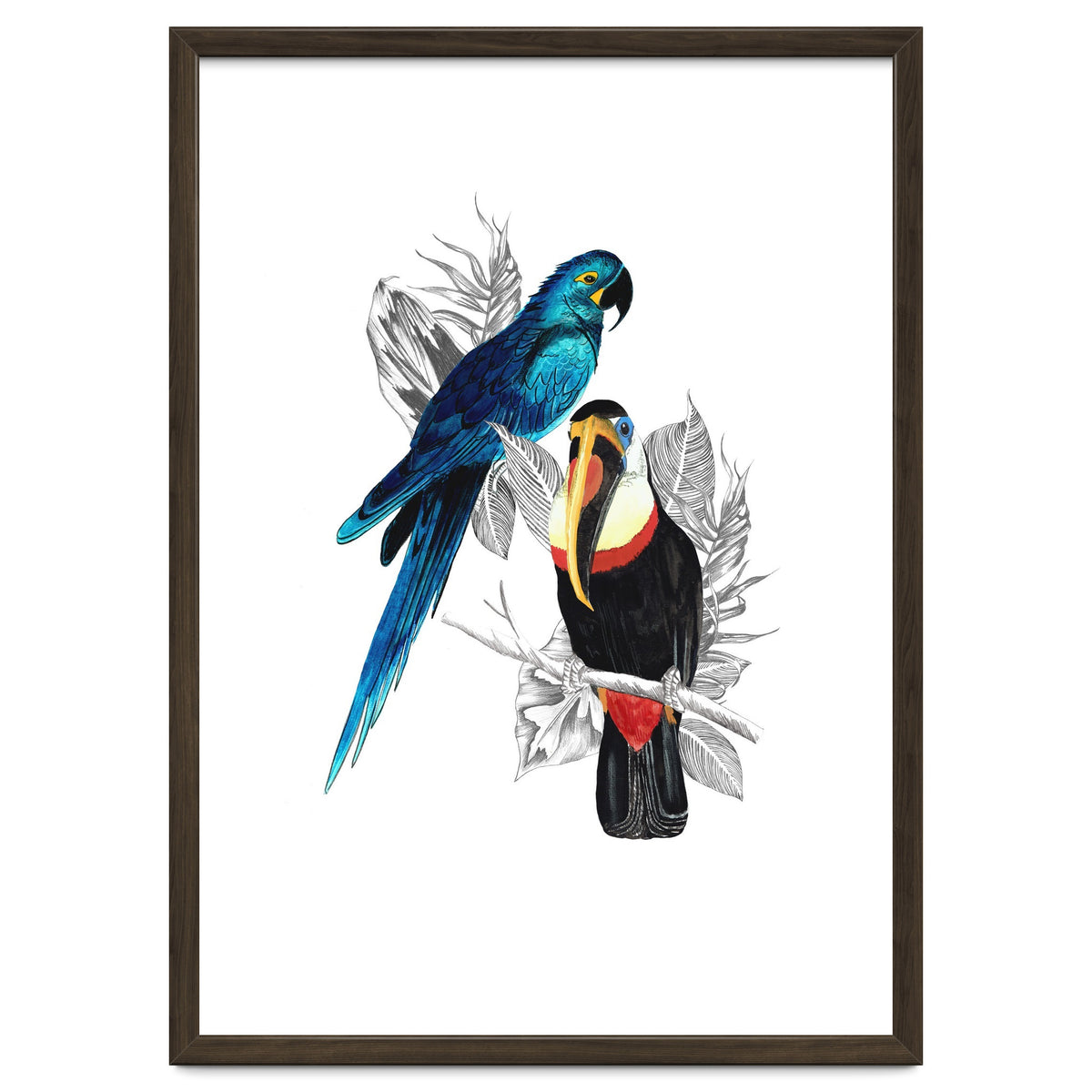The Toucan and the Parrot