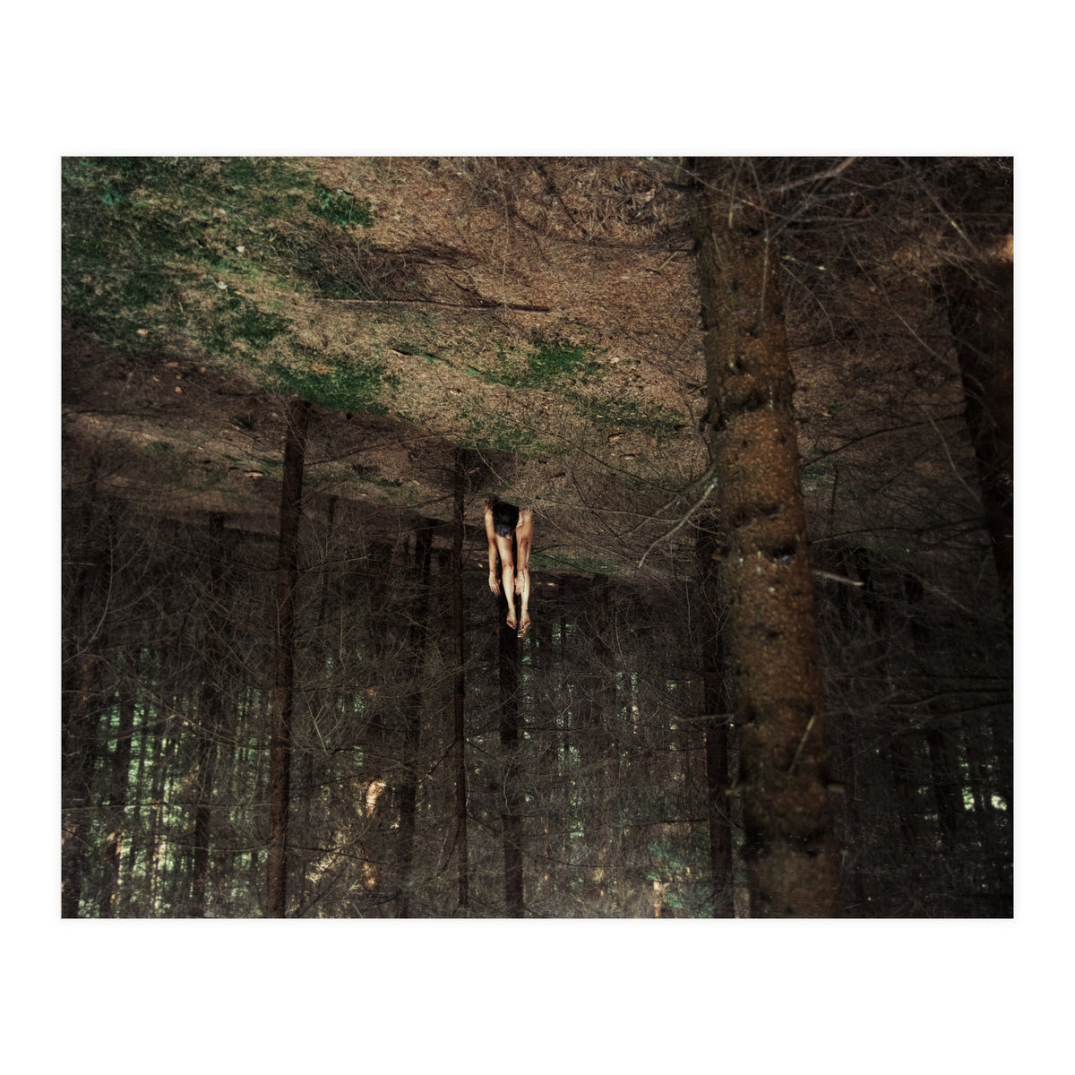 Gravity (Print Only)