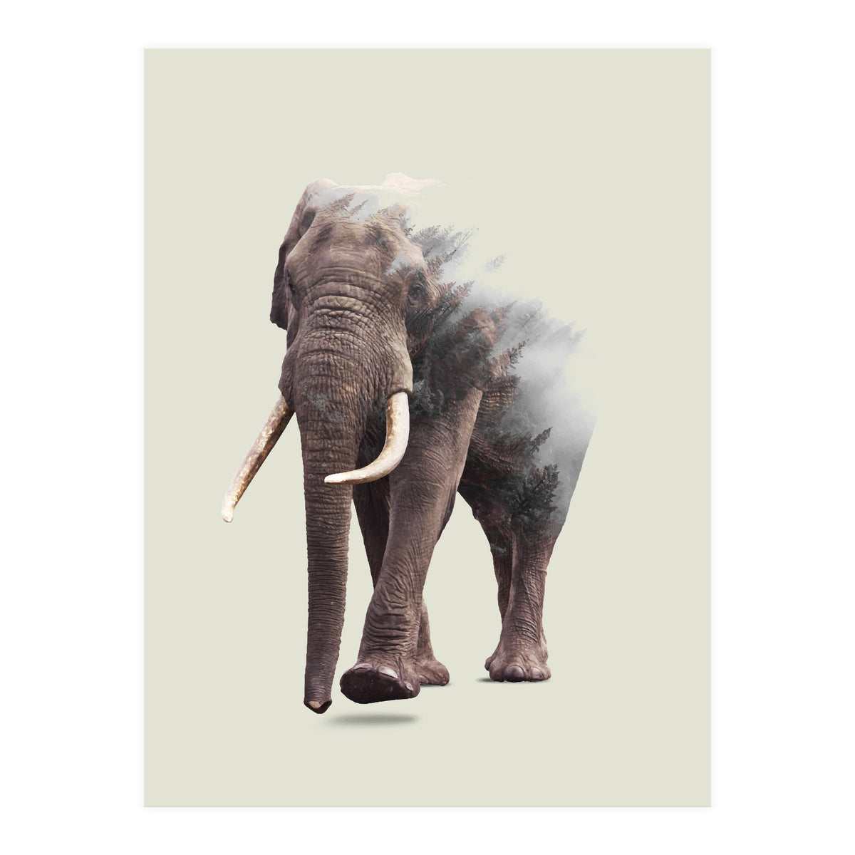 Elephantastic (Print Only)